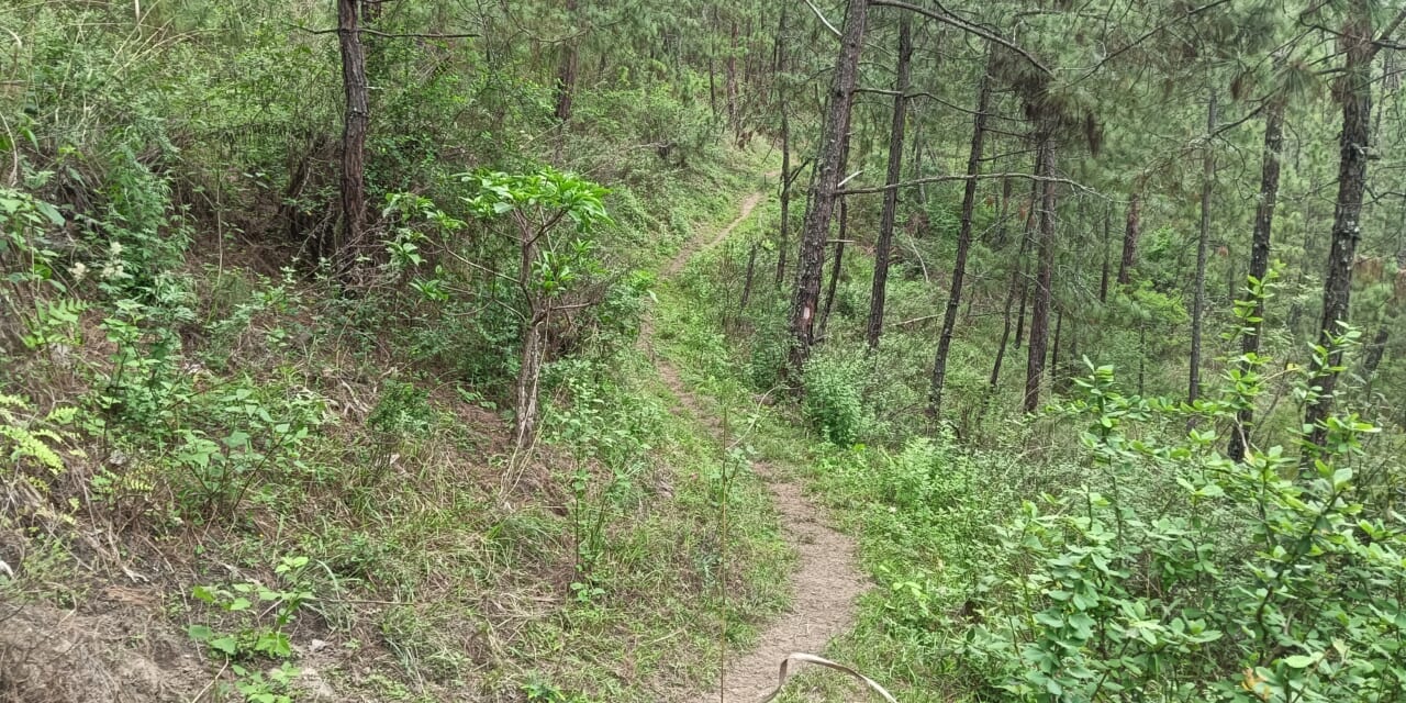 西のハと東のタシガンを結ぶトランス・ブータン・トレイルの一部マッドマン・トレイルを歩きましょう。