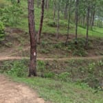 古道を歩いてブータンの歴史を感じよう！