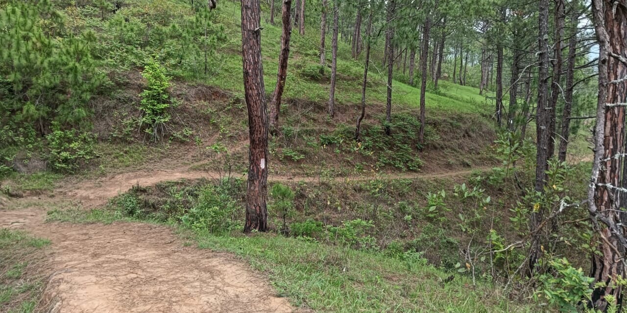 古道を歩いてブータンの歴史を感じよう！