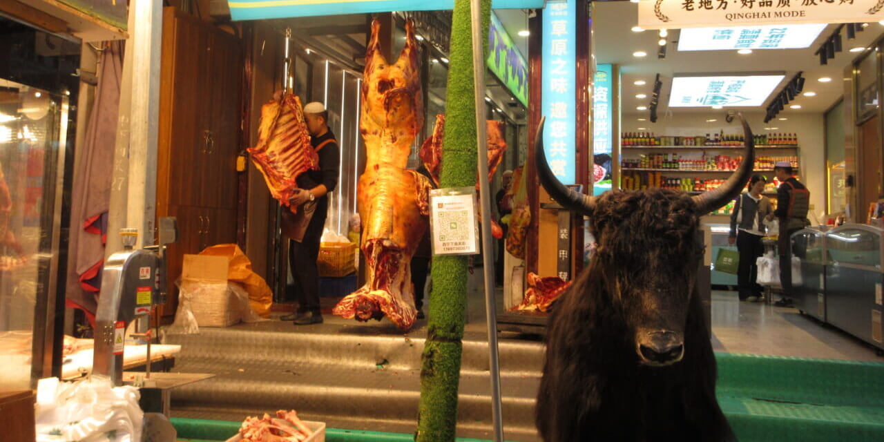 肉屋さんの店頭にヤクの剥製が・・・