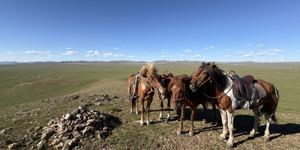 大パノラマの景色の中で乗馬を楽しみます