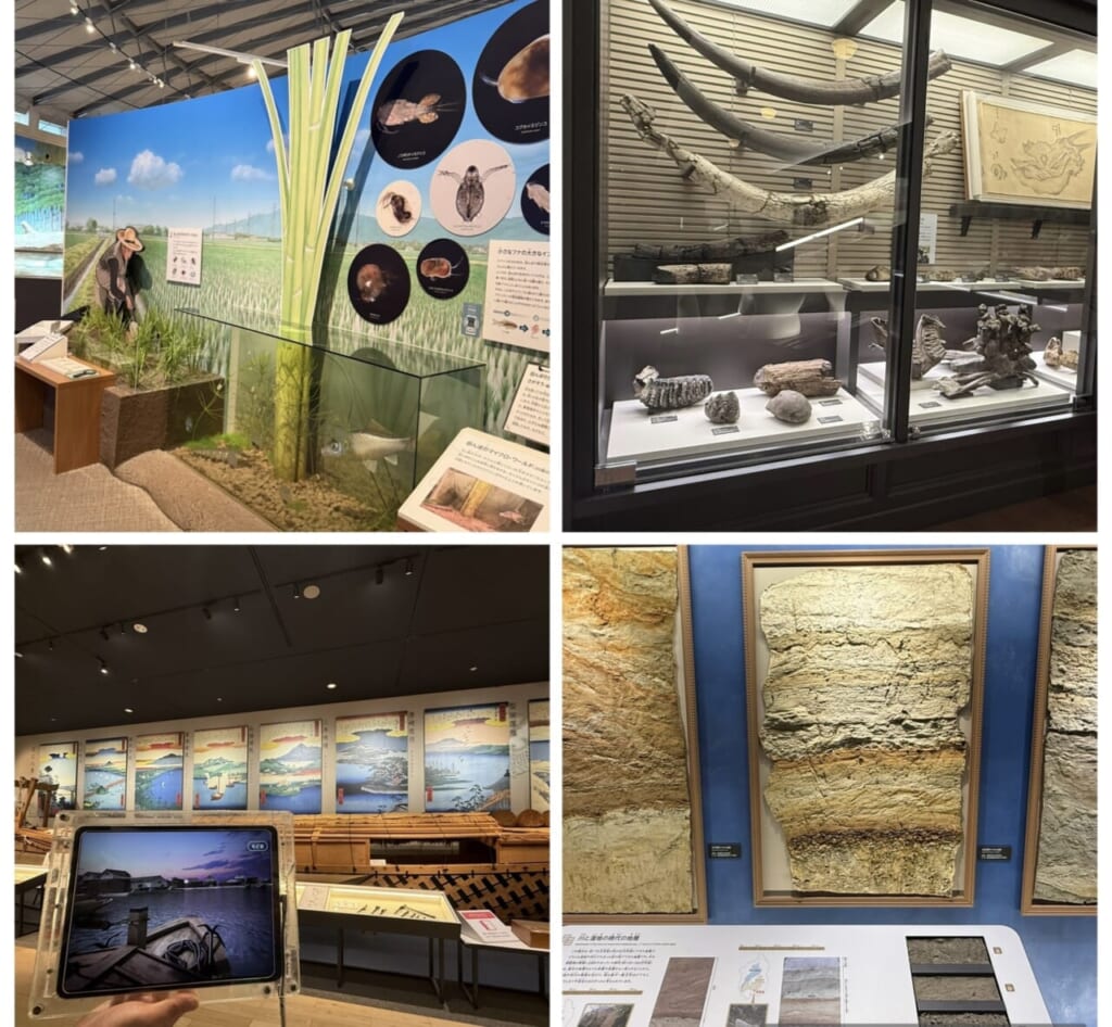 多様な展示があって、面白かったです！