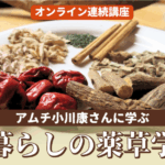 oz-k-ogawa-zoom-hy26-1