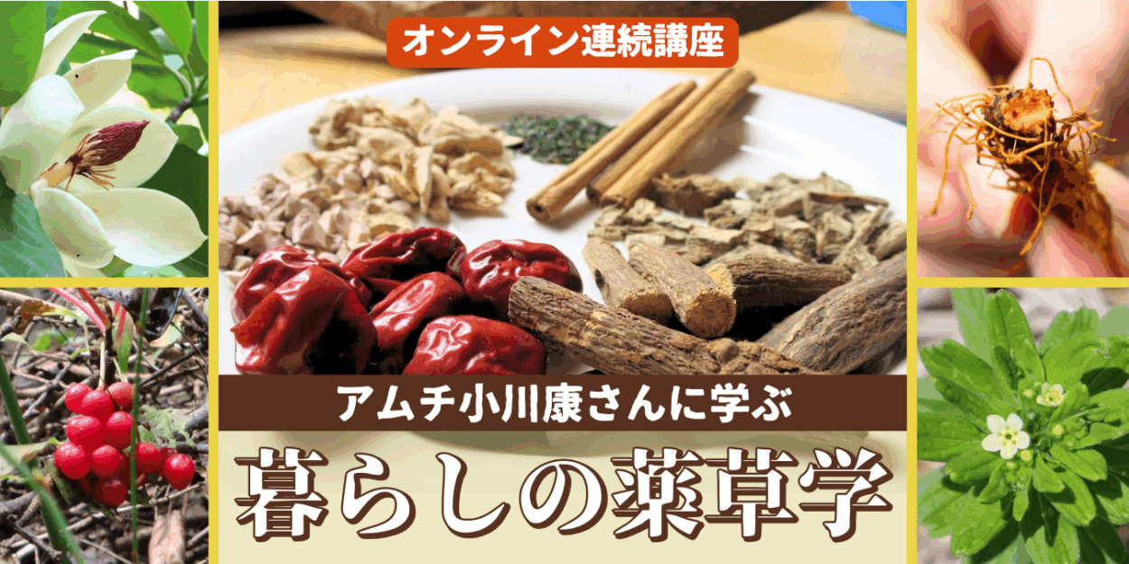 oz-k-ogawa-zoom-hy26-1