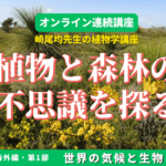 oz-k-sakio-zoom-26-1