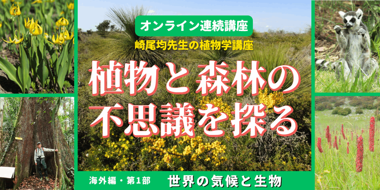 oz-k-sakio-zoom-26-1