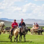 ラクダを利用した伝統的な引っ越しシーンを再現!