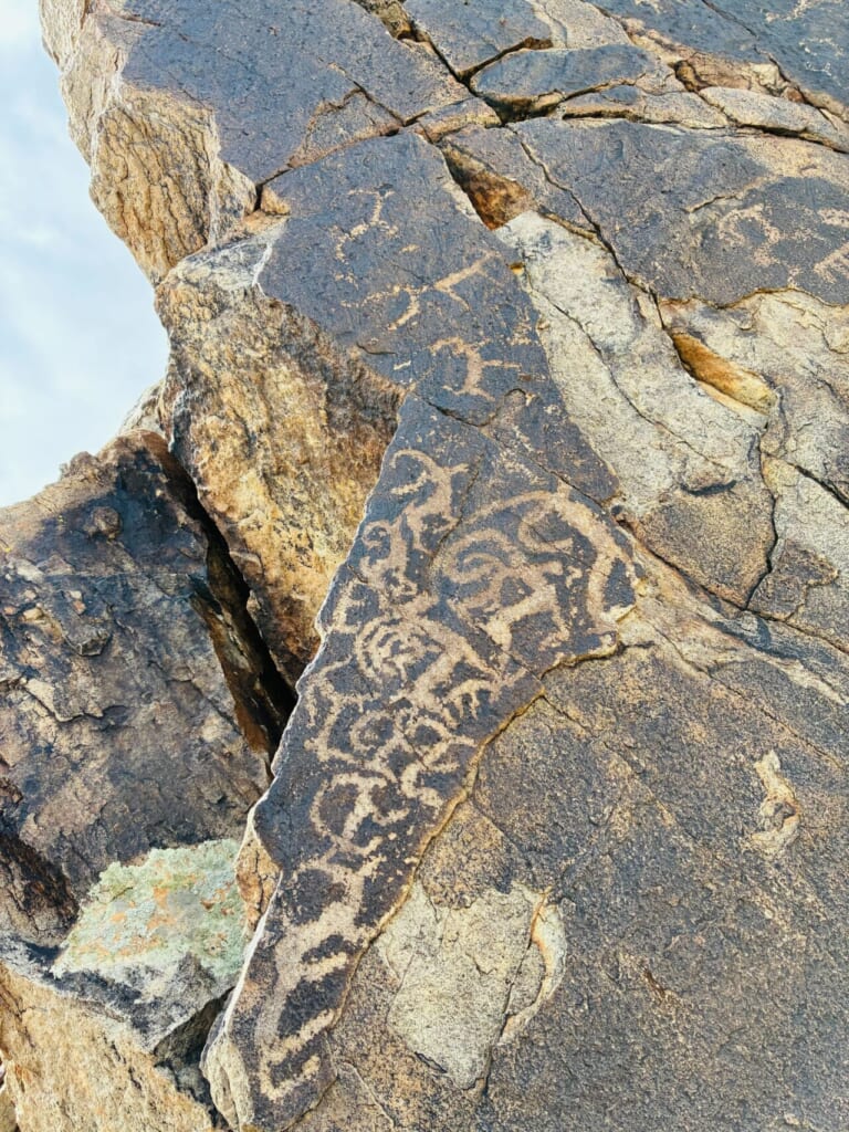 モンゴルらしい動物が描かれた岩絵