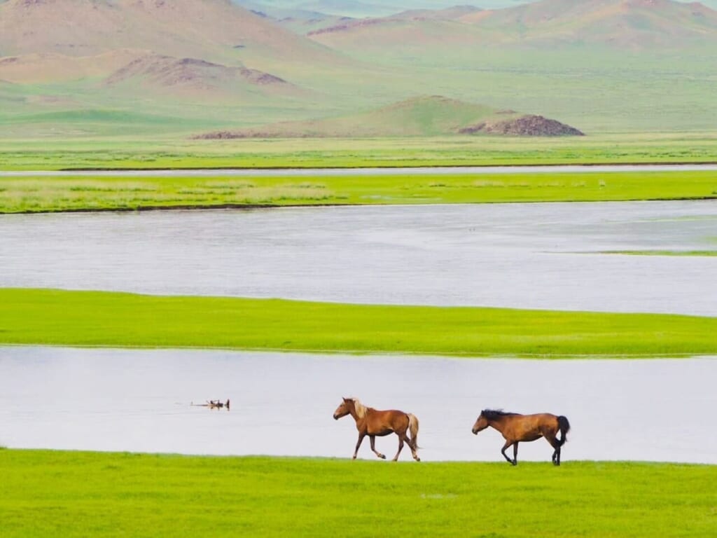 大草原を流れる母なるトーラ川