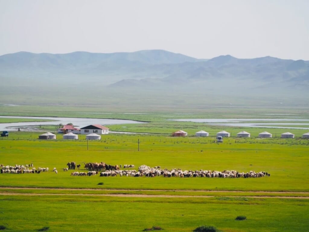 遊牧民の生活を感じる大草原