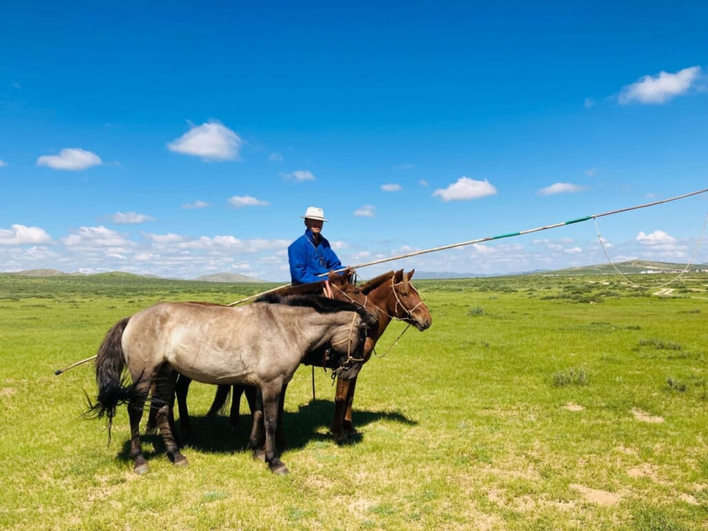 たのもしい遊牧民が乗馬を案内