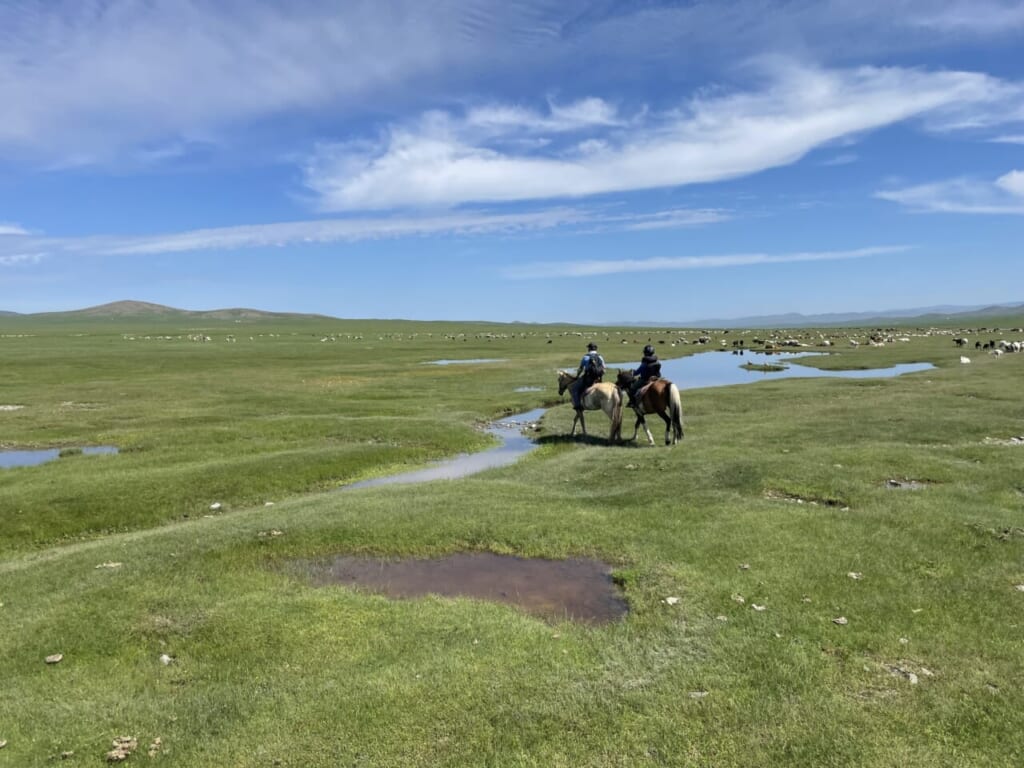 水場の近くは草の種類がちょっと違います