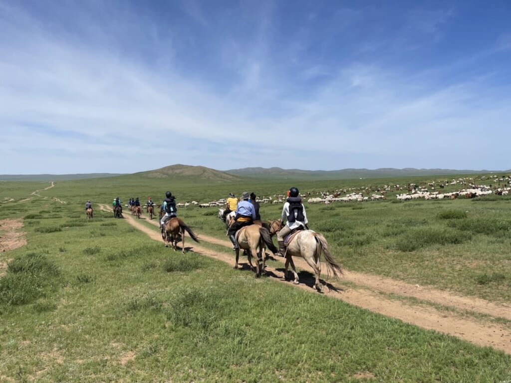 騎乗中、羊の群れとの遭遇も