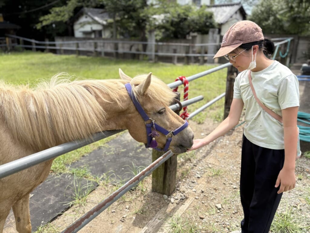【風の便り】埼玉県東松山市の上岡馬頭観音へ！馬好きが集う絵馬市と境内の魅力｜モンゴル担当の東京本店スタッフより