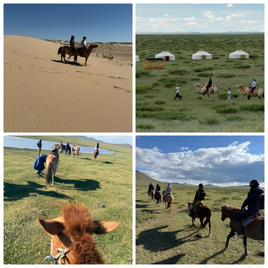 【風の便り】初心者から楽しめるモンゴル乗馬ツアー！砂丘と湖を巡る２つの体験｜モンゴル担当の大阪支店スタッフより