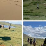 【風の便り】初心者から楽しめるモンゴル乗馬ツアー！砂丘と湖を巡る２つの体験｜モンゴル担当の大阪支店スタッフより