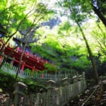 oz-d-kkawa-shimashikoku1-2026