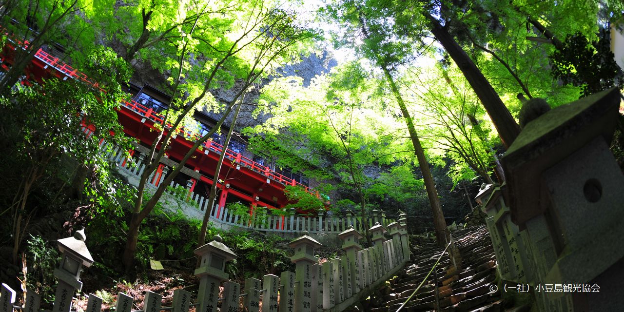 oz-d-kkawa-shimashikoku1-2026