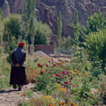 映画『群青のラダック』（イメージ）