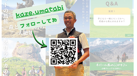 【風の便り】来夏の企画が進行中！公式Instagram始動と「風のモンゴル」パンフレット制作の裏側