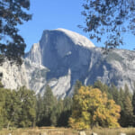 【風の便り】カリフォルニア州・ヨセミテ国立公園を訪問