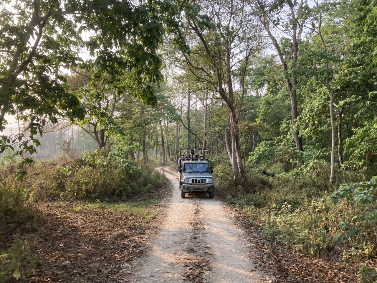 国立公園内をジープで巡るジープサファリ