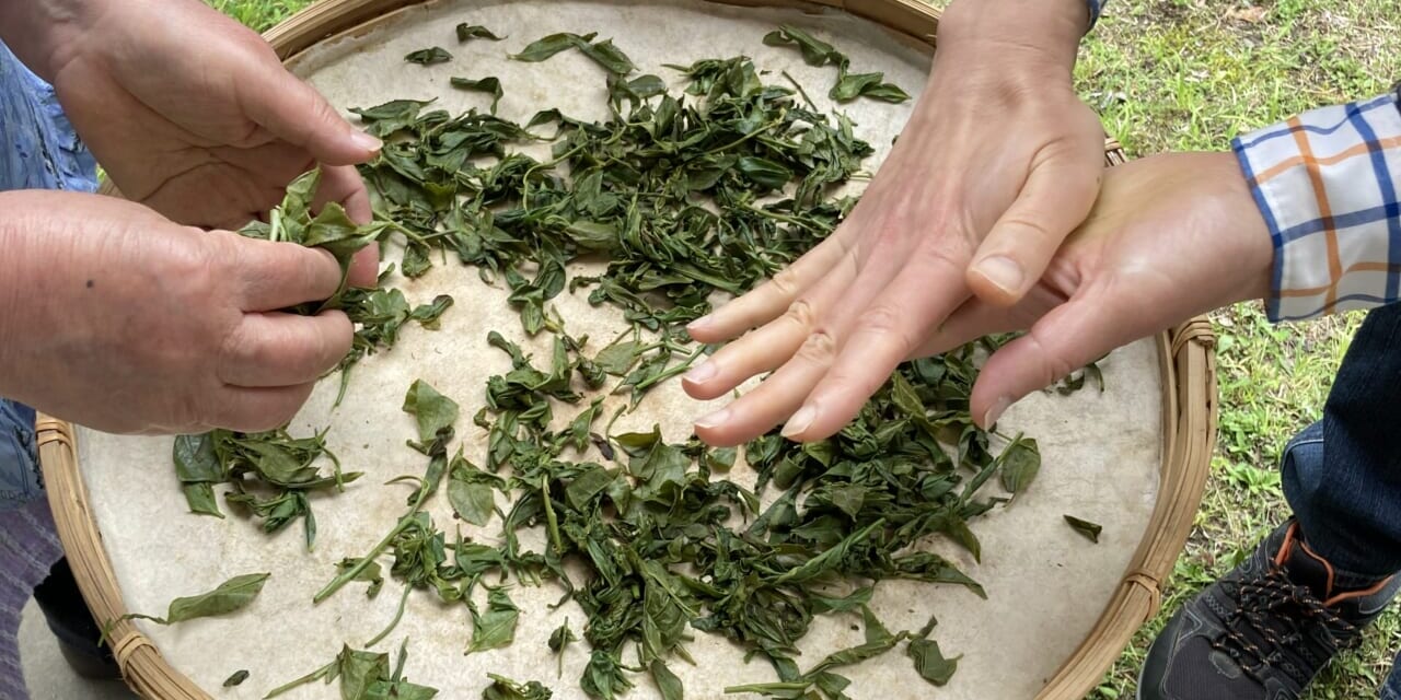 竹で編んだザルに和紙を何枚も重ねて貼る