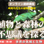 oz-k-sakio-zoom-26-2