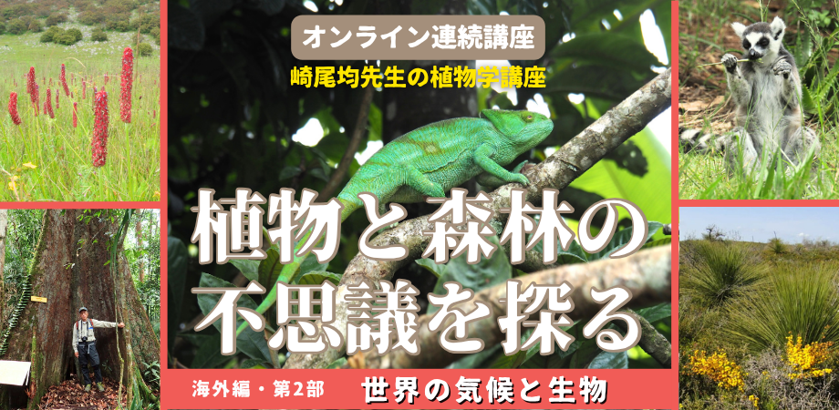 oz-k-sakio-zoom-26-2